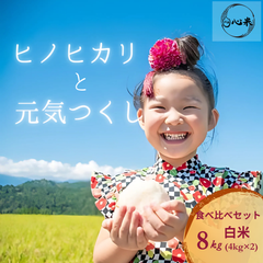 ヒノヒカリ と元気つくし 8kg 4kg×2袋 白米 6年産 お米 おまけ付き 麦茶 お得なセット商品 食べ比べ