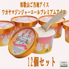 生姜丸搾りWakayama Ginger Ale プレミアムアイス 12セット（クール便にて発送）