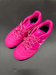 アシックス DS LIGHT JR GS (1104A054-700)