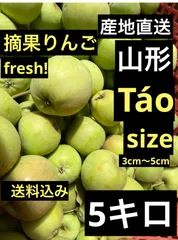 山形県東根市産　ジャムなどに‼️★減農薬栽培　摘果りんご★箱込み約5キロのサムネイル