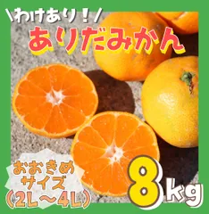 【年内発送‼️】お値下げ中！ 訳あり  和歌山県産 有田みかん 8kg➕補償分300g  〈サイズ大玉〉産地直送 ミカン   フルーツ みかん ありだ 柑橘