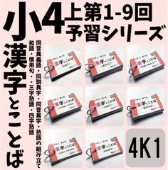 ラフェリーズ 6トーン&4トーン白髪染め黒染めカラー剤 40本セット 