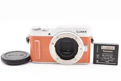 2024年最新】パナソニック lumix dc-gf10の人気アイテム - メルカリ