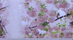 2025年最新】桜の通り抜け貨幣セットの人気アイテム - メルカリ