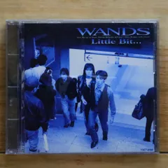 WANDS ワンズ　上杉昇　ドッグタグ　ネックレス　VIDEO JUNK グッズ WANDS ワンズ 上杉昇 ドッグタグ ネックレス VIDEO JUNK グッズ 2025年