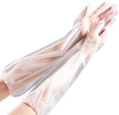 Item thumbnail for item e04b8a11-1cd7-4cf8-94c7-f766b172cb3d