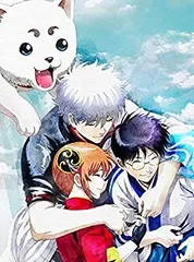【中古】【非常に良い】銀魂 THE FINAL(完全生産限定版) [DVD]