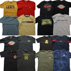 古着卸 まとめ売り ブランドMIX 半袖Tシャツ 16枚セット (メンズ Ｓ ) ディッキーズ リーバイス コンバース 中古 古着 MY9250