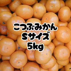 みかんＳサイズ5kg