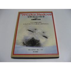 シノプティック・マテリア・メディカ 4訂版 - メルカリ