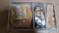 ねんりん家　冬の結び芽　※函つぶれ　訳アリ品
