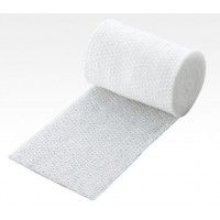 Item thumbnail for item 7c910c36-44b0-4ae5-a1da-2ddc248f96b2