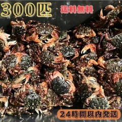 2025年最新】石鯛餌の人気アイテム - メルカリ