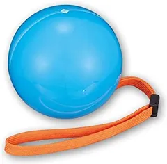 2025年最新】カメハメハボールの人気アイテム - メルカリ