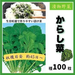 【野菜の種】漬物菜の定番品種「からし菜」収穫４５日～種１００粒