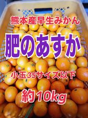 熊本産早生みかん(肥のあすか)3Sサイズ10kg - メルカリ