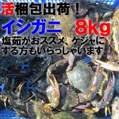 生出荷！食用イシガニ 石蟹８kg 活状態での梱包 目安80杯 送料無料 蟹 カニ