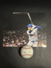 【直筆サイン】大谷翔平 特大写真 MLBホログラム&WS記念球&50/50フォト 直筆サイン】大谷翔平 特大写真 MLBホログラム 正式鑑定書付