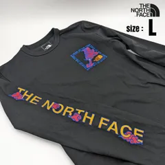 【日本未発売】ノースフェイス CNY 長袖 Tシャツ メンズ ブラック/L(USサイズ)
