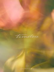 (CD)timelesz(Limited Edition（初回限定盤）)(DVD付)／timelesz