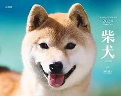 カレンダー2024 柴犬（月めくり/壁掛け） (ヤマケイカレンダー2024)