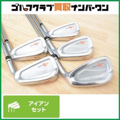 【大型キャビティ】三浦技研 CB-301 アイアンセット 6~PW 5本セット K’s 8001 フレックスONE (S相当) ミウラ CB301 キャビティ