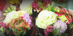 shop-thumbnail