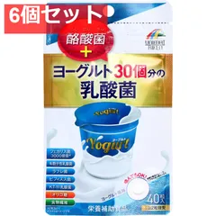 ヨーグルト30個分の乳酸菌+酪酸菌 200mg×40粒 6個セット まとめ売り