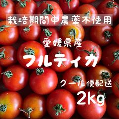 愛媛県産　石鎚名水育ち 農薬不使用　中玉トマト　フルティカ2kg