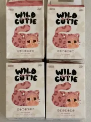 Cat Chat DVD 8枚セット cat chat for BABIES DVD カード 幼児英語キャットチャットの