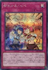 御巫かみくらべ TTP1-JP074 【シークレットレア】 TACTICAL-TRY PACK －黒魔導・ＨＥＲＯ・御巫－ 遊戯王　トレカ道