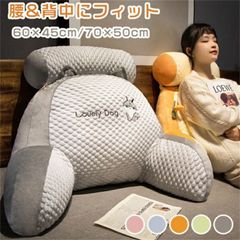 送料無料 クッション 涼感 60×45×20cm 涼感アイスシルククッション 2in1多機能 夏用 腰&背中の伴侶 腰&背中にフィット 人間工学 涼しい 大きい 背もたれ 腰痛対策クッション 取り外し可能 ふわふわ 座り心地いい 固綿入り 洗える