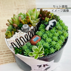 うしさんリメ缶セット