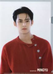 [중고] 클리어 파일 민규 A4 클리어 파일 [플랫 가샤폰 SVT 클리어 파일 컬렉션 vol.2 From PLEDIS ENTERTAINMENT SEVENTEEN]
