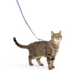 【在庫処分】PetSafe（ペットセーフ）猫のハーネス イージーウォーク ネコ用ハーネス&バンジーリード ライラック Mサイズ