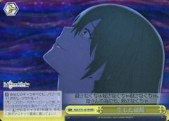 [중고]바이스슈바르츠 FGO/S75-021R[RRR]:(홀로) 생긴 고장