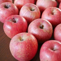 出荷中　家庭用サンふじ５ｋｇ（１６玉前後）　目立つキズ、アザあり　長野県産