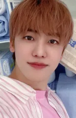 【中古】コレクションカード(男性) NCT DREAM/ジェミン(Jaemin)/「DREAM LAUNDRY SHOP MD」ランダムランドリーカード セルフィーフォトカード
