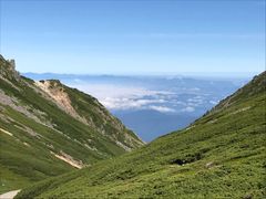 廃盤色・希少】Danner ダナー WILLAMETTE VALLEY ウィラメット バレー