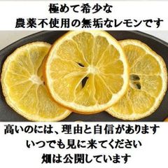 【国産、添加物なし】半生タイプのレモンのドライフルーツ　25ｇ（農薬不使用！）