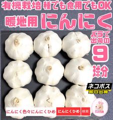 2024年　優しい栽培方法のにんにく　9球　種食兼用　バラしてネコポス　にんにくひめ