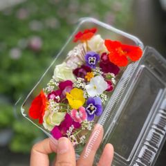エディブルフラワー　食用花　花のみ　1パック