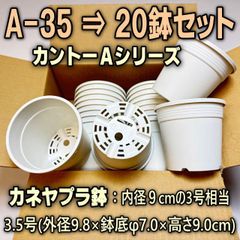 A-35白(カネヤ＊カントー)プラ鉢20鉢セット-生産者仕様＠フラワーショップ江口※黒インク状の付着が有ったりします