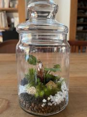 有福MOSS ガラスポップジャーテラリウム