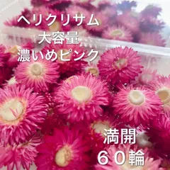 ❁⃘満開❁⃘濃いめピンク🩷ヘッド60輪✳︎ヘリクリサムドライフラワー