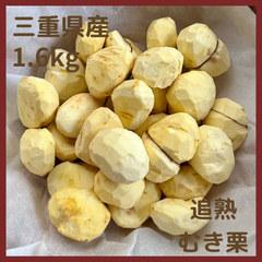 【最終】とれたて追熟むき栗【三重県産】冷凍パック 1.6kg