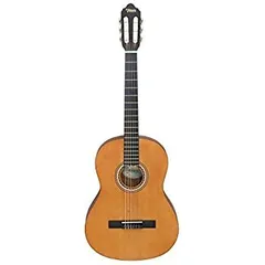 Valencia ヴァレンシアカスタムCG-50 美品 中古