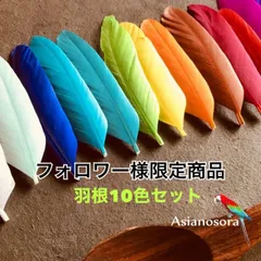 10色セット 10枚 ガチョウ 羽根 羽 フェザー 鳥の羽根 鳥の羽 鳥 バード フォロワー様限定商品
