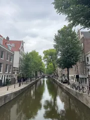 わんこ様専用　2点おまとめ