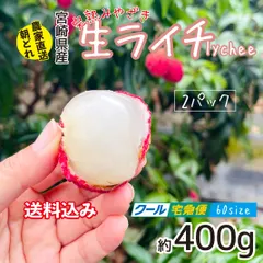 2024年最新】宮崎ライチの人気アイテム - メルカリ